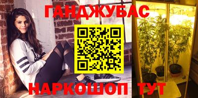 стаф Абинск